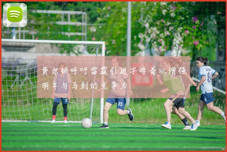 费尔顿呼吁雷霆引进字母哥以增强明年与马刺的竞争力